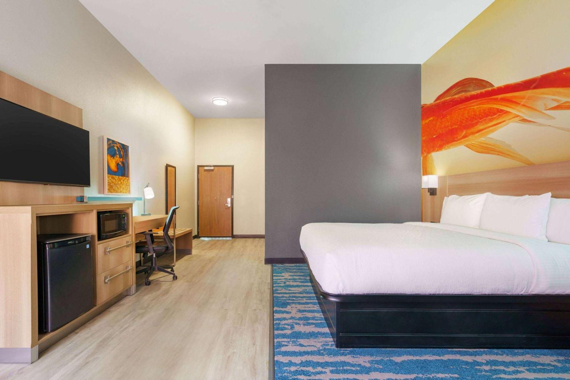 La Quinta Inn & Suites By Wyndham San Antonio Seaworld Lafb المظهر الخارجي الصورة